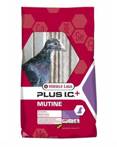 Hrană pentru porumbei Plus IC Mutine 20kg - Versele Laga