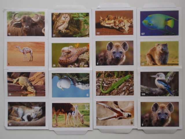 картинки "Билла", "Кауфланд"