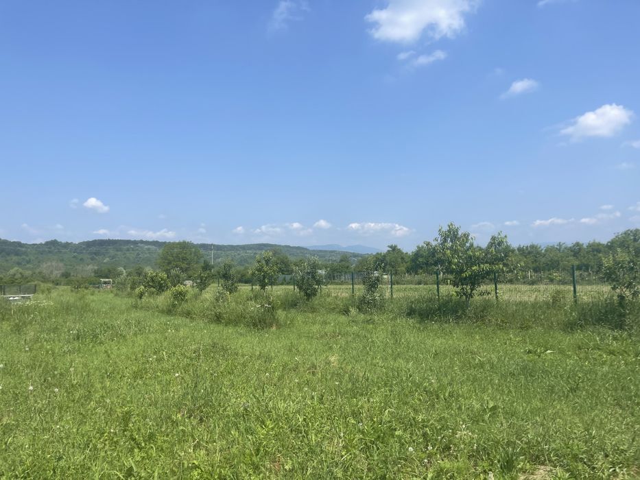 Teren intravilan Turcinesti