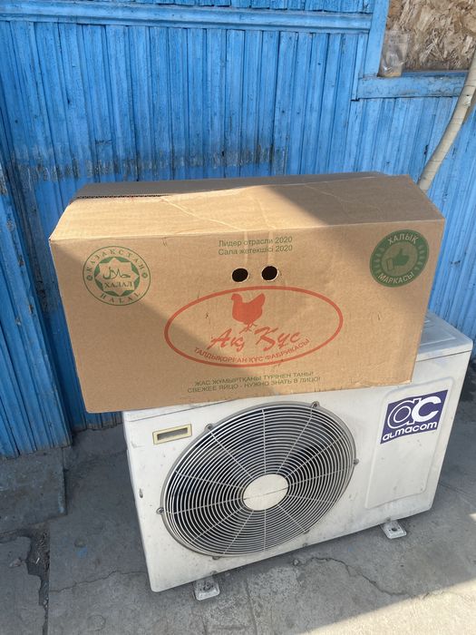 Коробки из под яиц