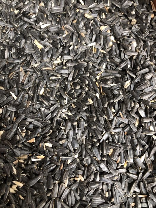 Семечки мелкие Семей