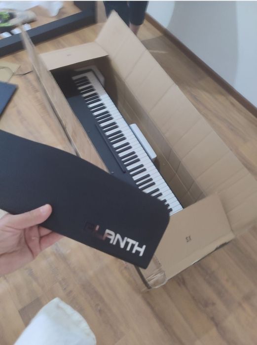 Blanth pionino molotochniy