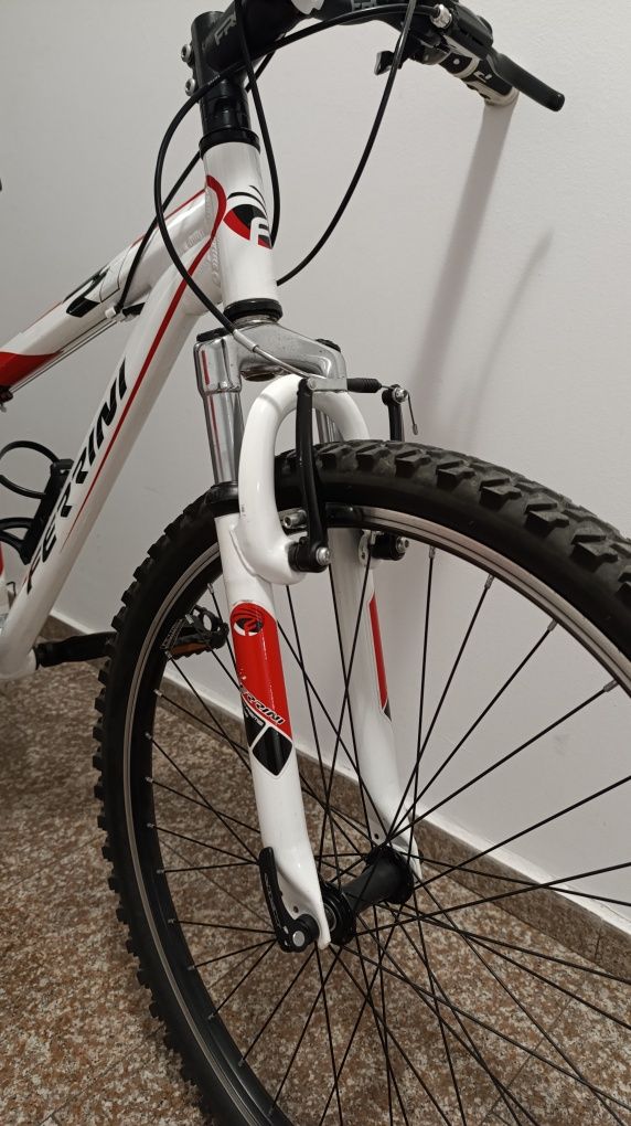 Велосипед Ferrini R1