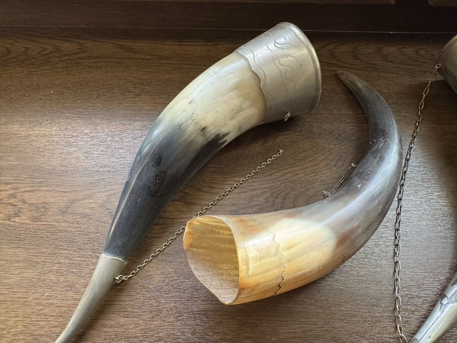 Продаю рога, декор, фужер для вина, коллекционные
