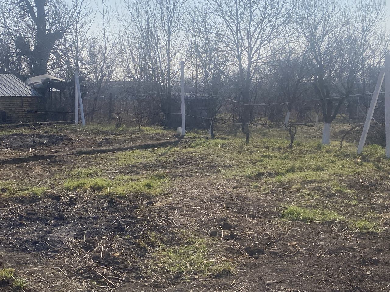 Продава се Парцел в с. Буховци, Област Търговище - 700 кв.м за 11 €/кв.м - Снимка #18