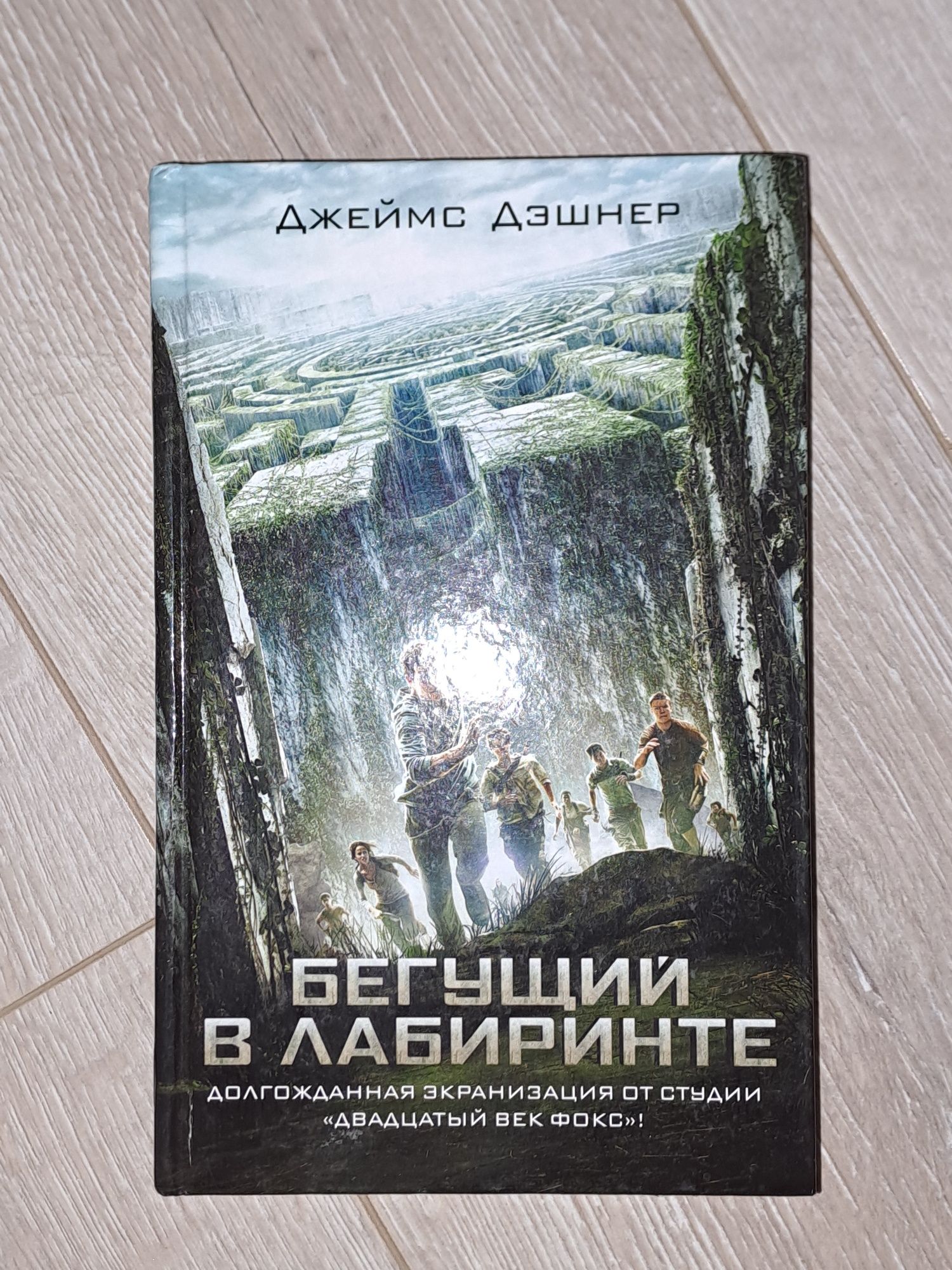 Книга «Бегущий в лабиринте» 1 часть