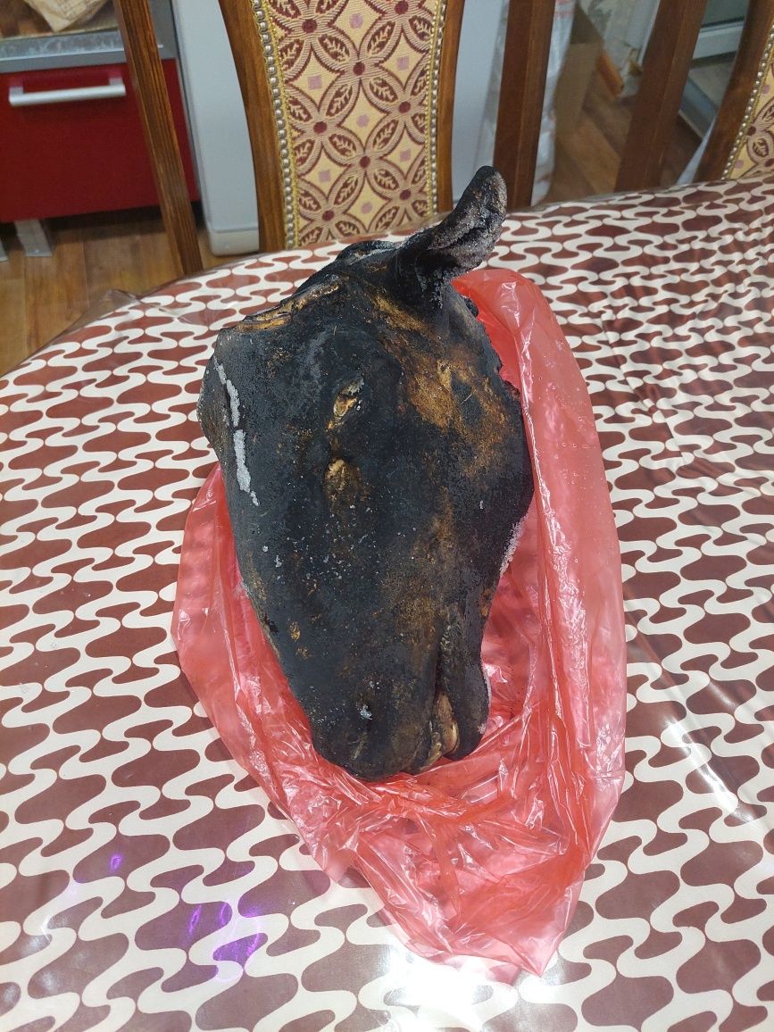 Голова барана қойдын басы