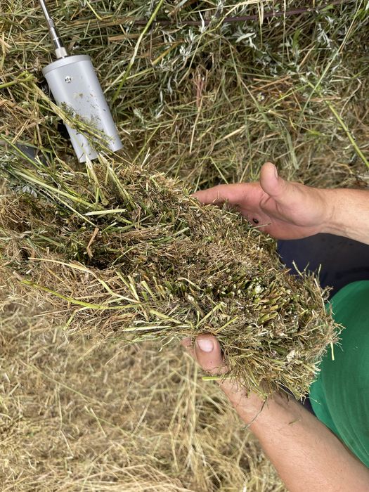 Baloti lucerna tocata infoliati (semifân) și fan din agric. ecologică