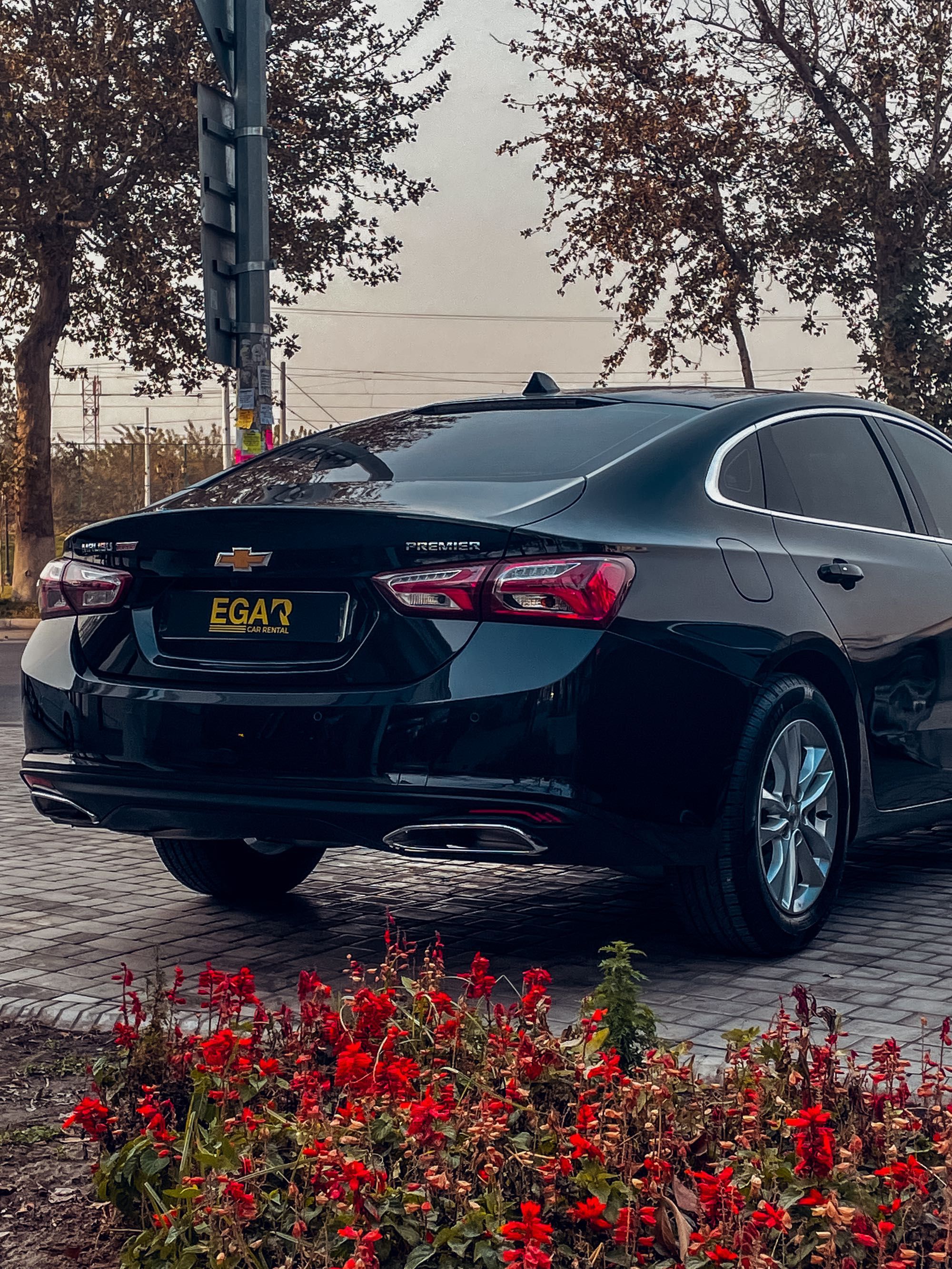 Прокат авто | Rent Car | Avto Ijara