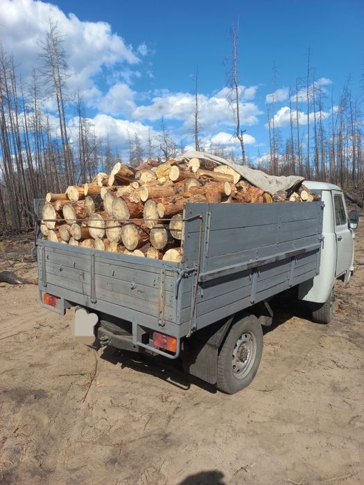 Дрова.чурки сосна коротко напиленные сухие