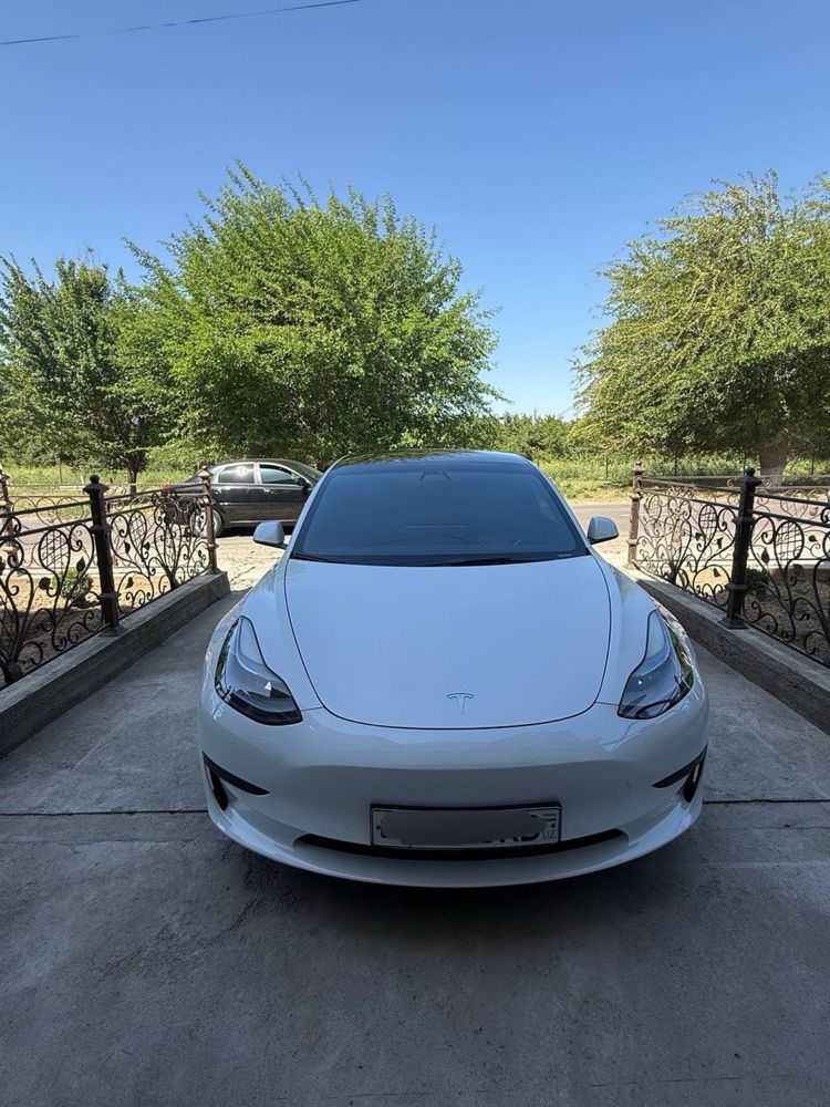 Tesla model 3 standart