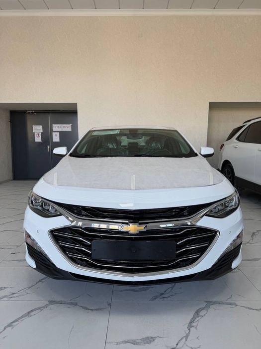 Malibu premier masla