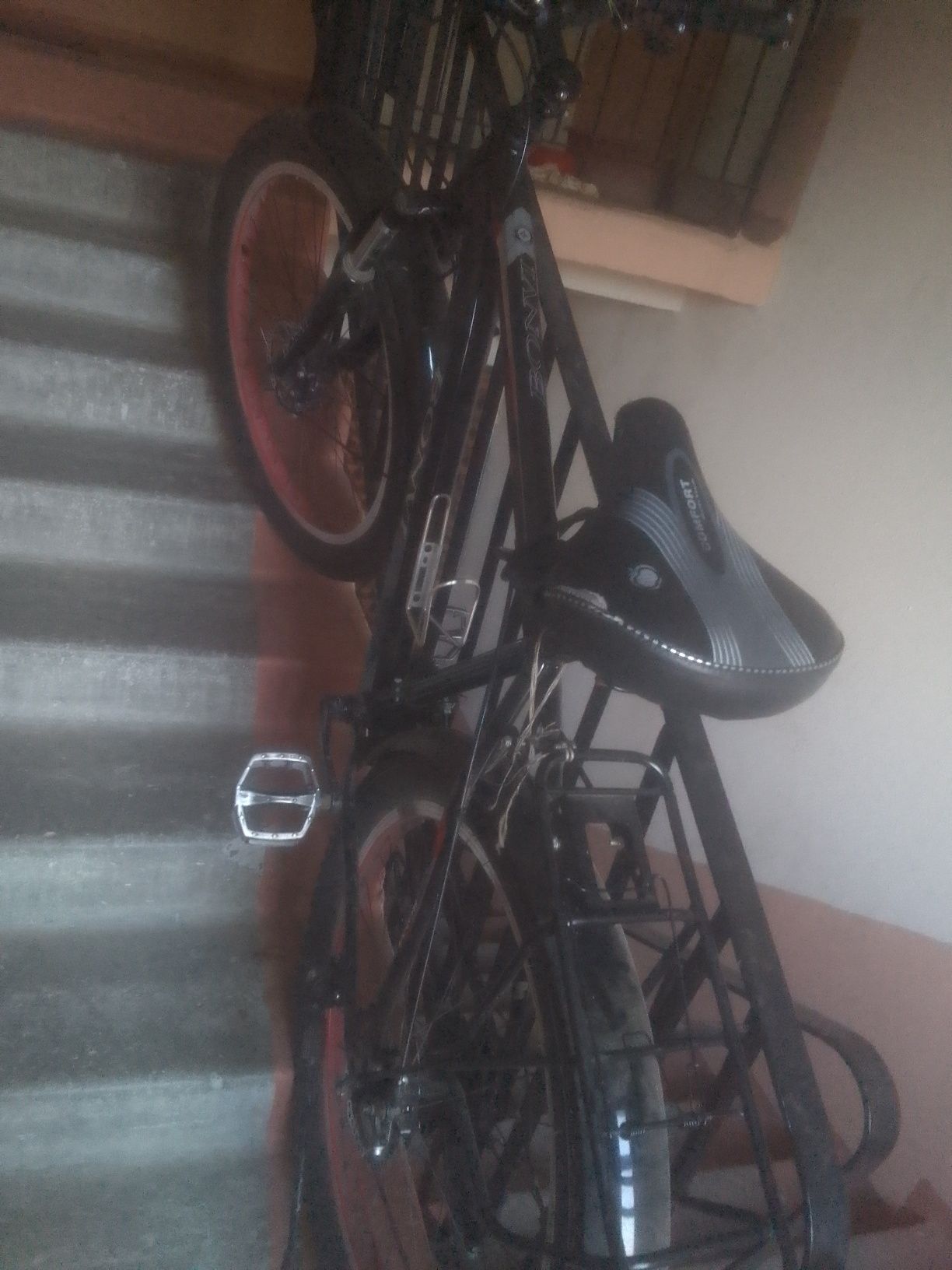 Velosifed skorisli, kotta balonli 28