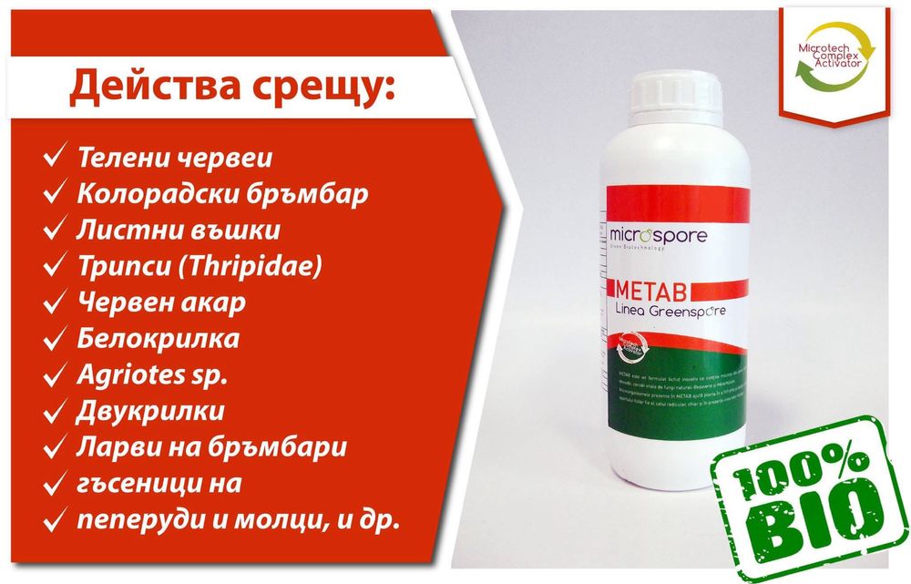 Метаб Metab