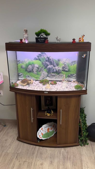 АКВАРИУМ JUWEL 180L + Шкаф, ФИЛТЪР SICCE, осветление и декорации