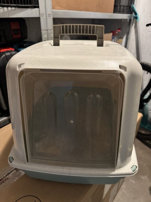 Vand litera pisici adulte