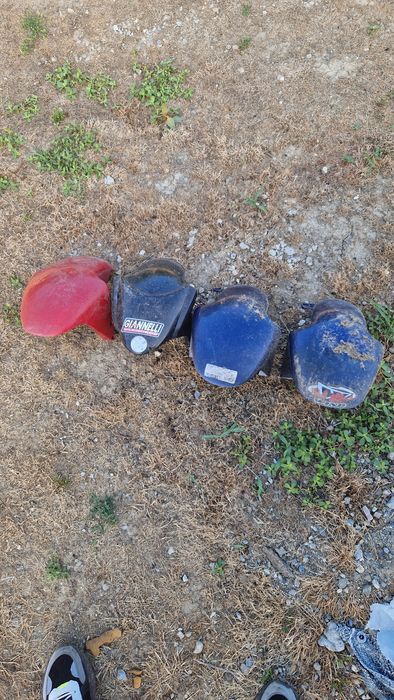 Aripa,Aripi Fata Malaguti F12