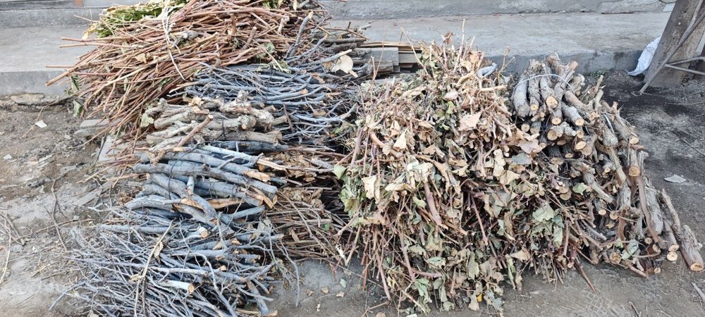 Қуруқ ўтин, Сухая дрова