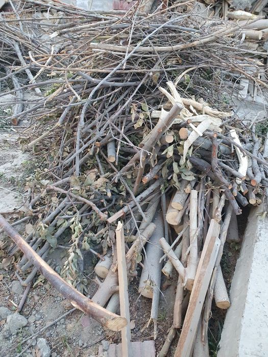 Òtin sotiladi  arzon narhda