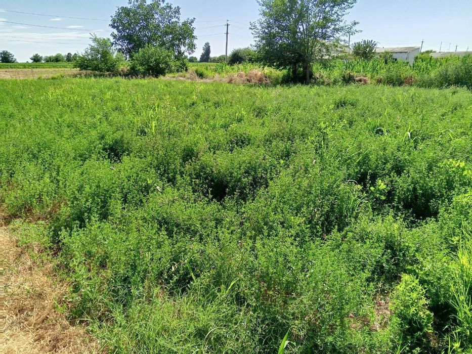 10 соток ер 13.000$