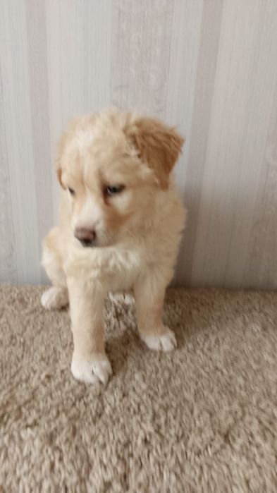 Солнечный малыш с добром доброму человеку