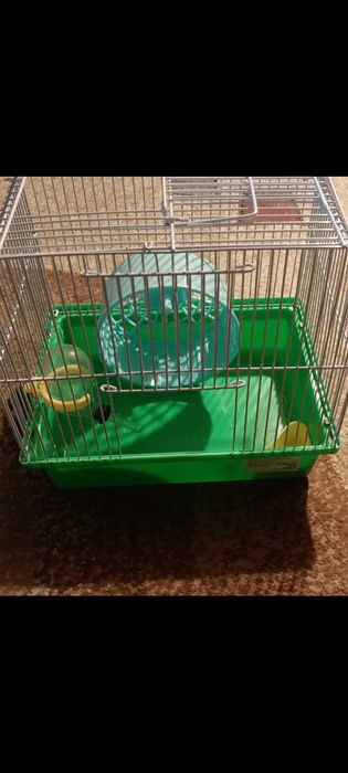 Cușcă hamster cu diferite accesorii