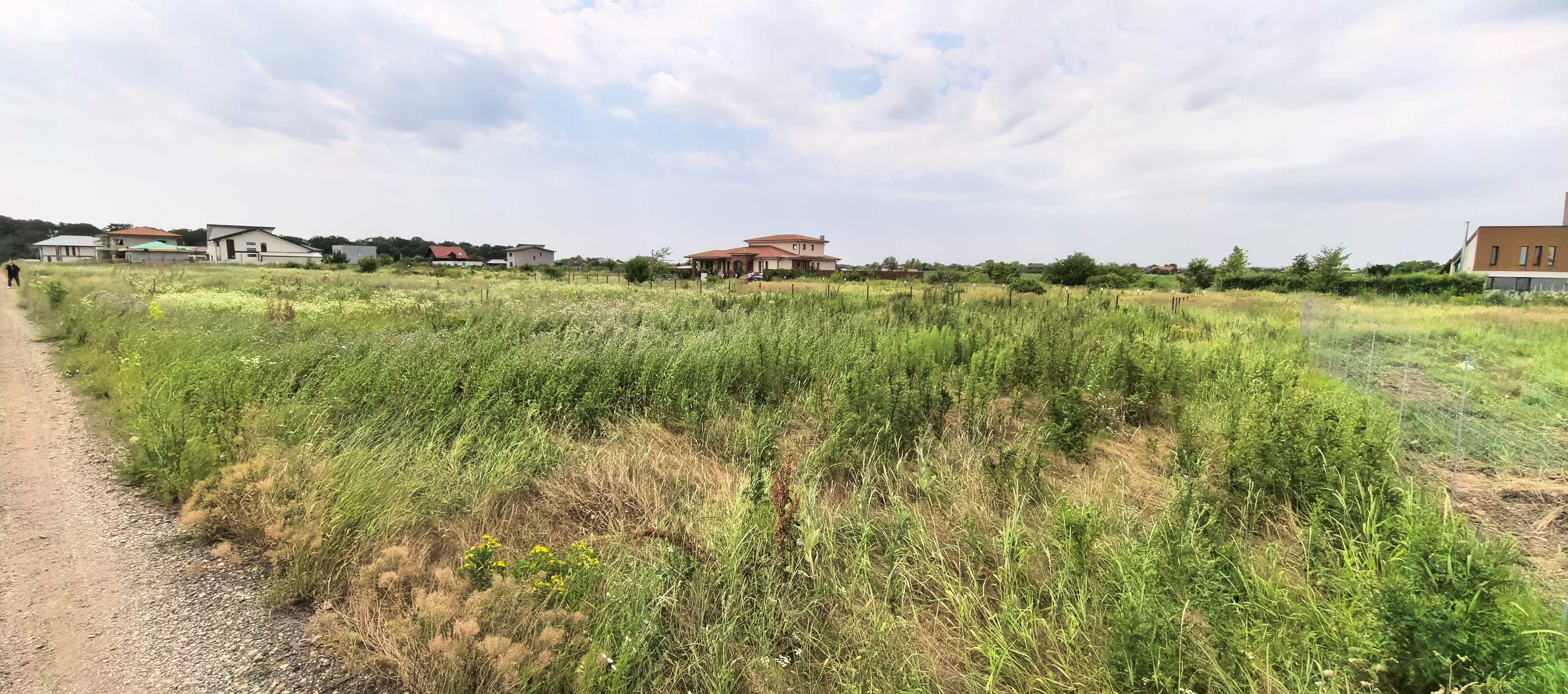 Teren 1860 mp COLINA LAC–Pădure & Lac la 300 m, deschidere 63 m-93€/mp