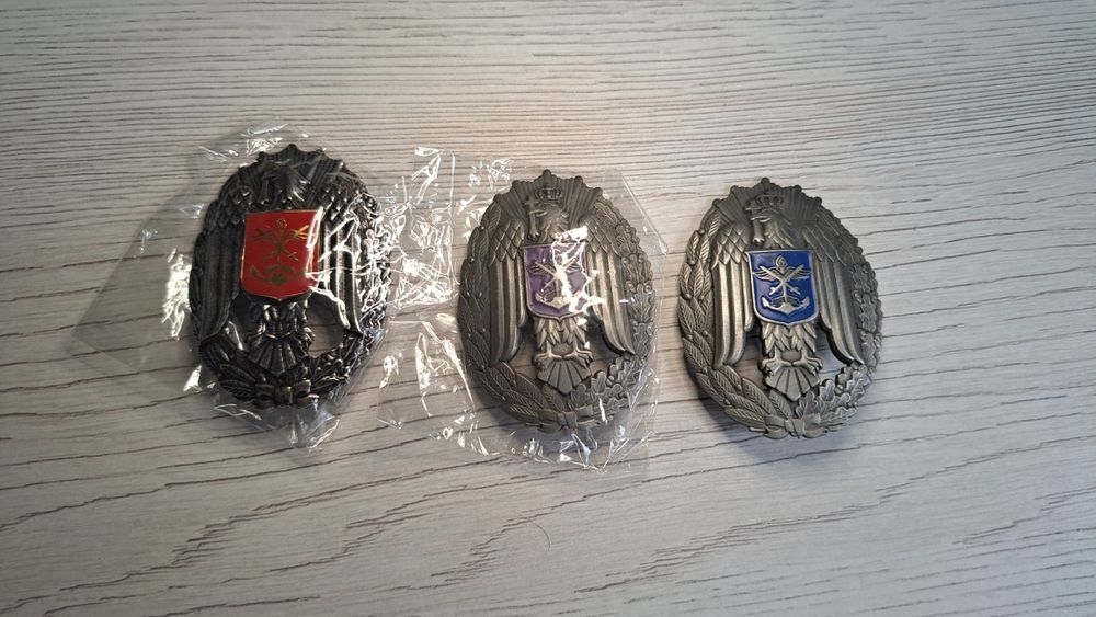 Insigna Academie Militara