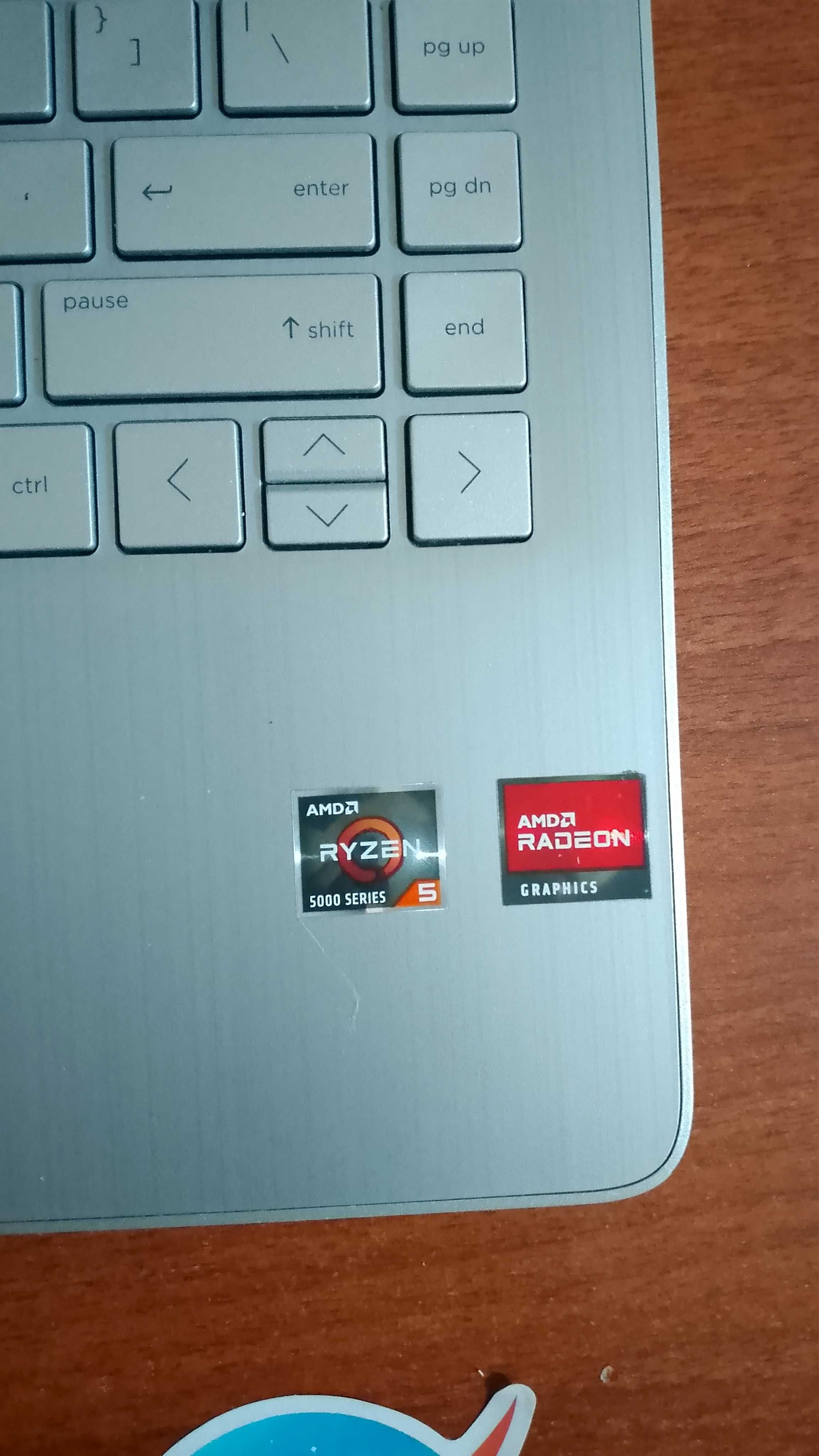 HP Laptop Ryzen 5500U power