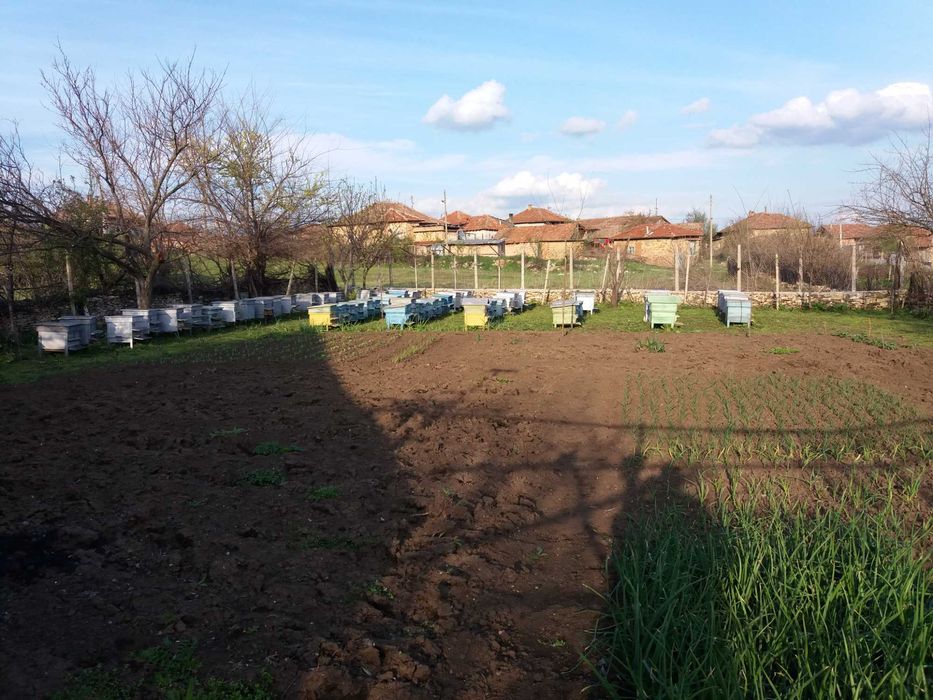 Магазини и сковани магазинни рамки за кошери ДБ