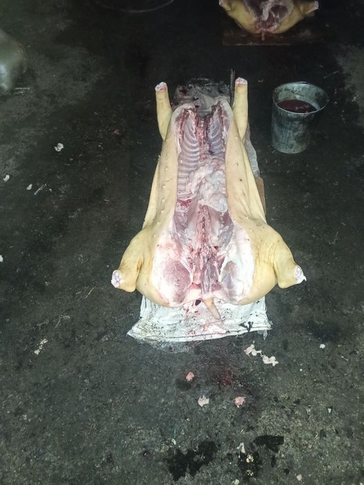 Продам мясо свинина