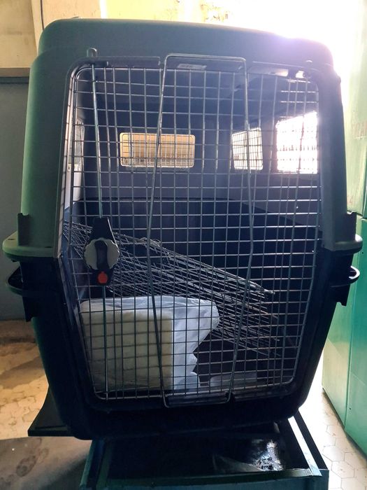 Cutie de transport pentru câini pentru călătorii cu mașina, avionul