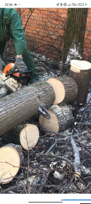 Дарахт кесиш хизмати . Daraxt kesish xizmati