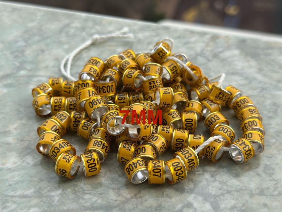 Inele  porumbei RO 2025!