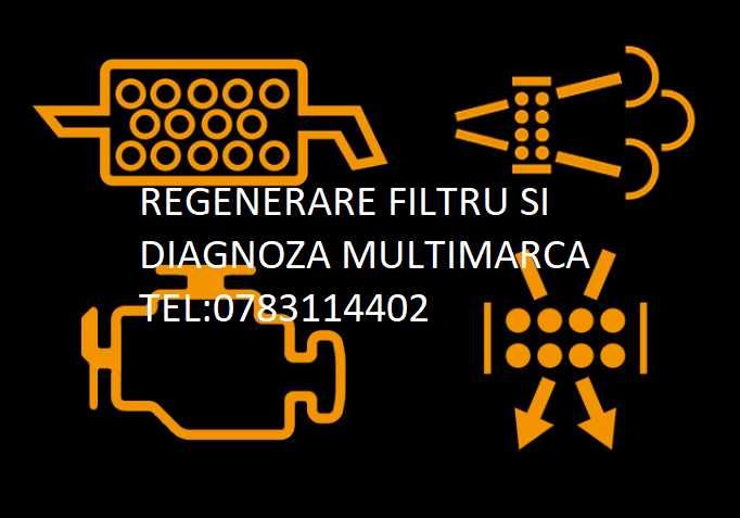 Filtru de Particule-MULTIMARCA-DPF-Regenerare Fortata-Diagnoza Auto