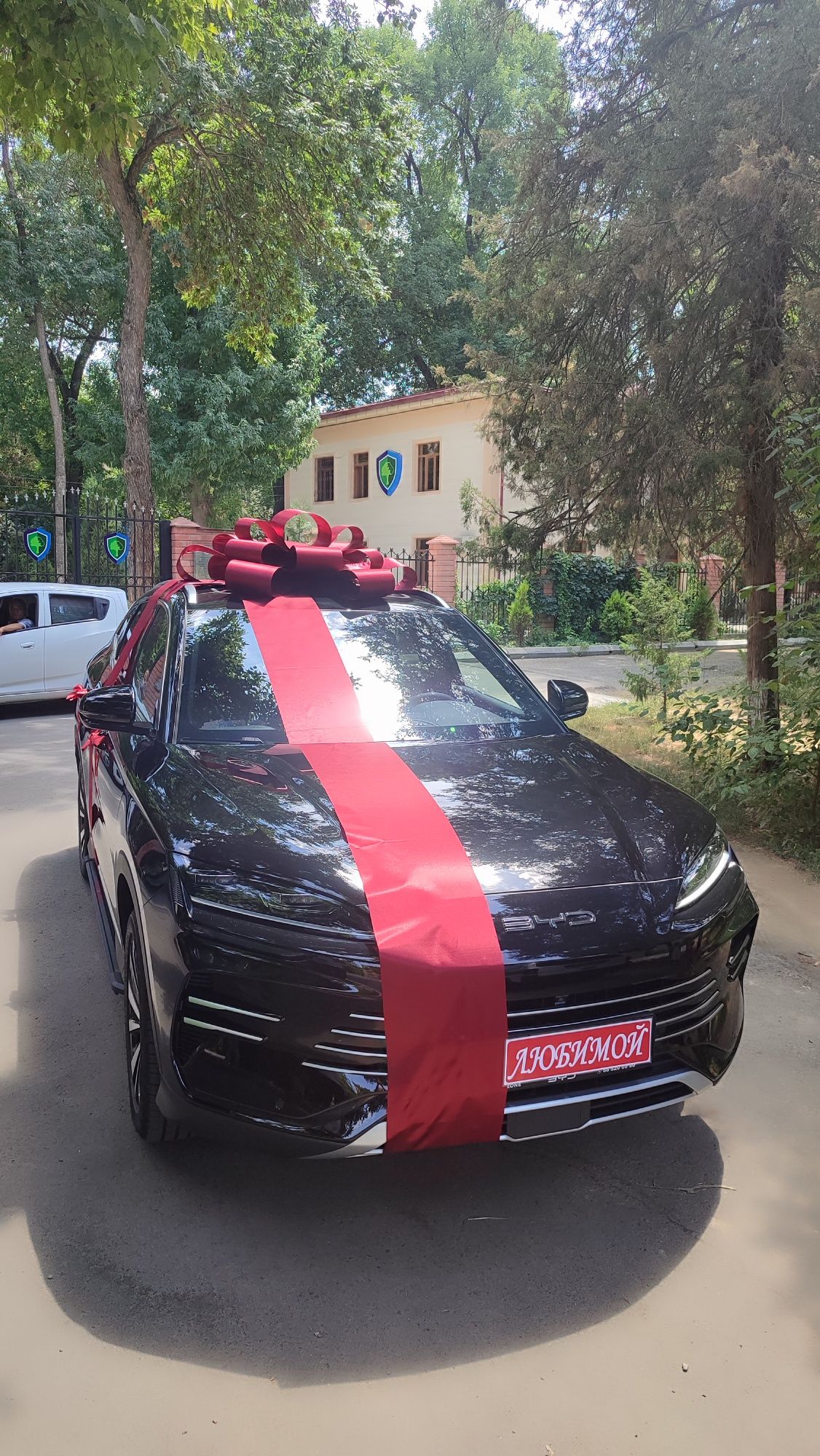 Бантики, бант, автобант