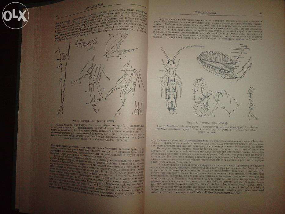 Carte in limba rusa despre insecte