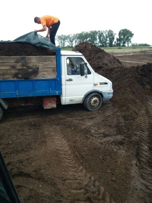 vand Mranita gunoi macerat sau Paman Nisipos