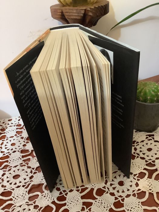 O carte care merită citită ,,Zeița orezului