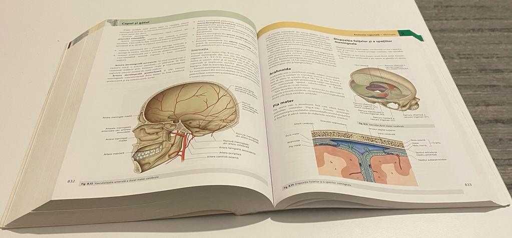 GRAY'S ANATOMY pentru studenti, editia 2, urme fine de utilizare