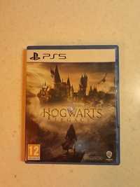 Hogwarts Legacy для PS5