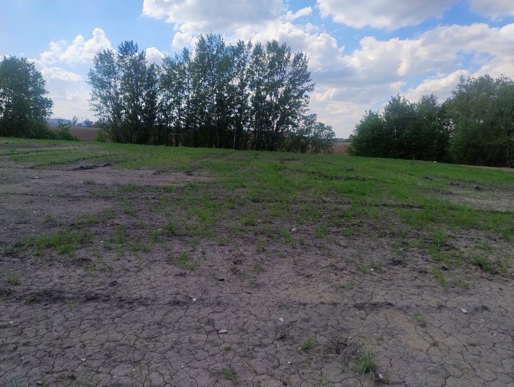 Case la comanda Osorhei-Oradea