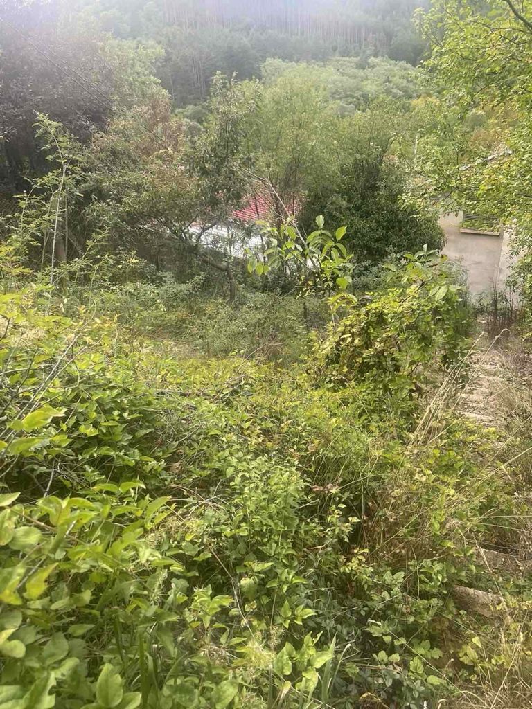 Продава се Къща в с. Владо Тричков, Област София-област - 48 кв.м за 730 €/кв.м - Снимка #13