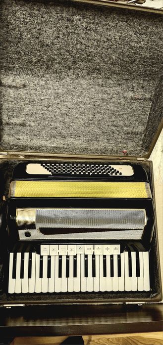 Vând acordeor Hohner Lucia IV P cu 96 basi
