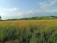 Vand Fan 2025 zona  de deal