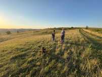 De vânzare: Pășune extravilan – 65 ha în Agnita, județul Sibiu