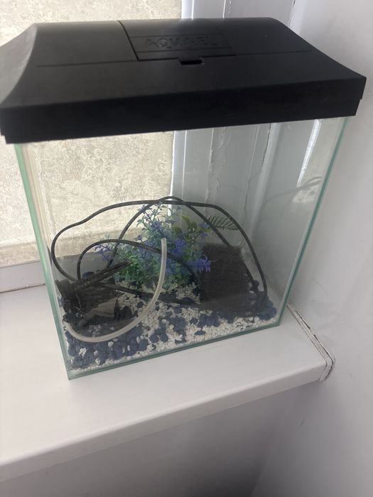 Аквариум для рыбок