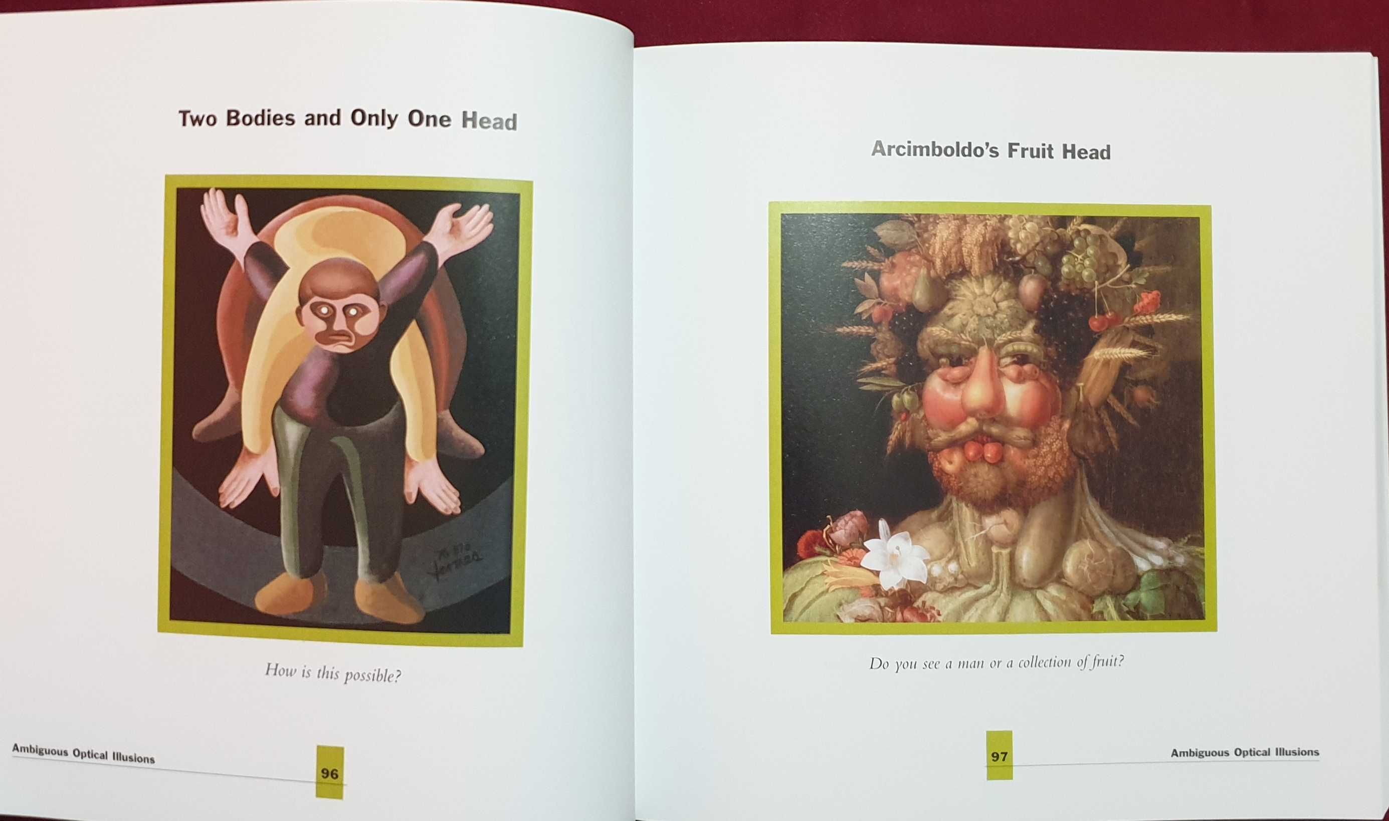 Голяма енциклопедия на визуалните илюзии / Book of Optical Illusions