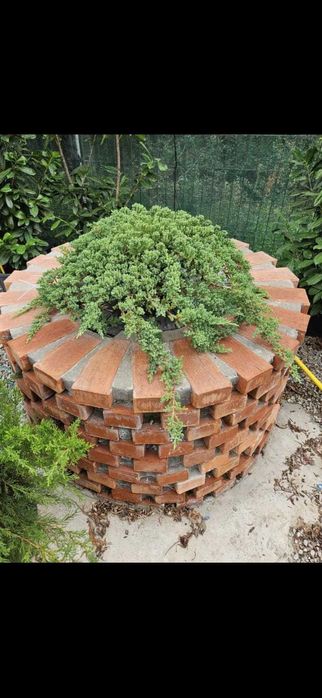 Amenajare Grădini cu Plante Ornamentale + Decorațiuni Exterioare