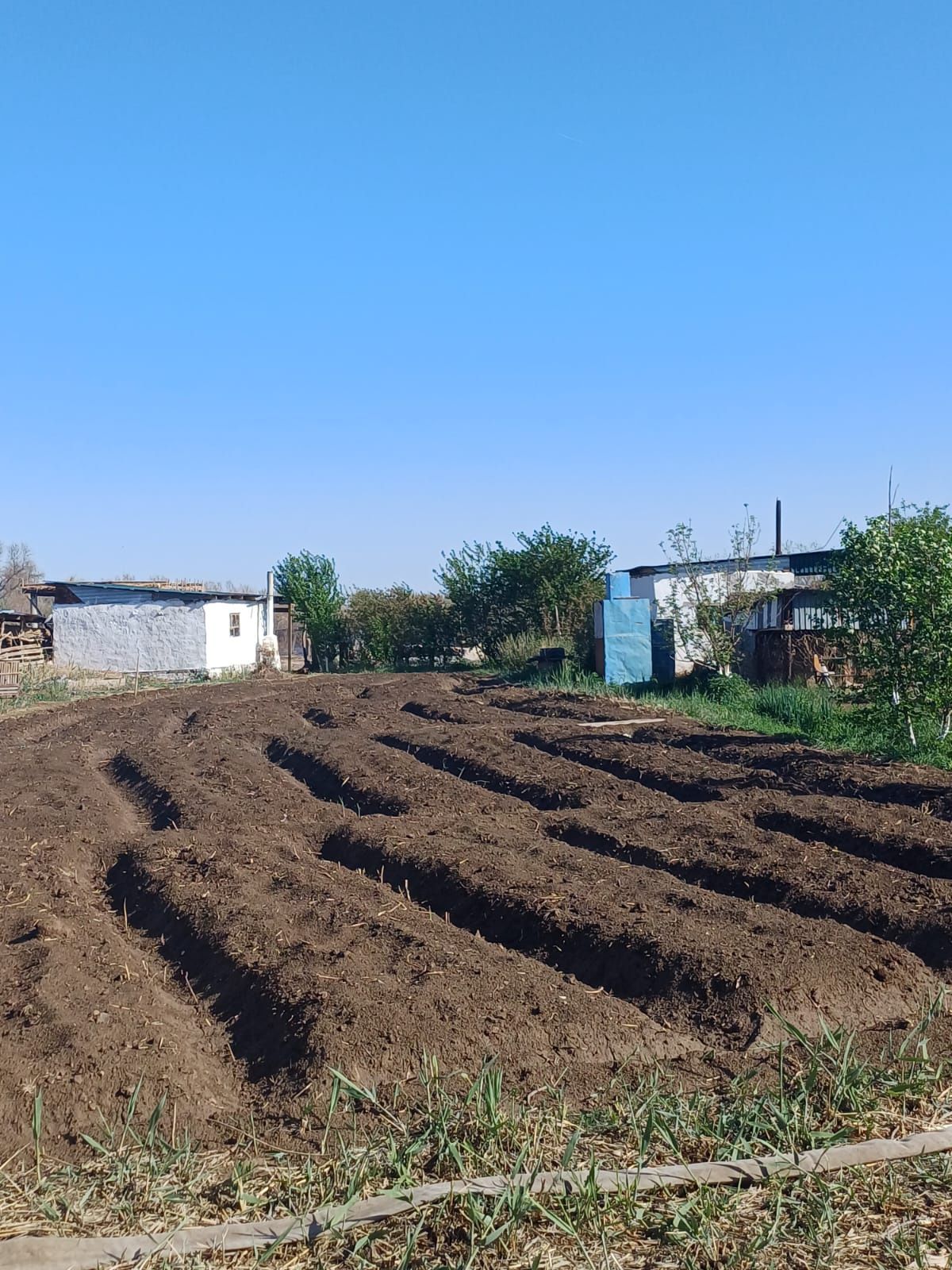Срочно продам дом в дачном массиве